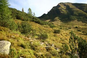 Lassachalm (Alm) 02512 2015-08-28.jpg