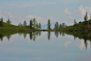 Moaralmsee 1297 2008-07-27.jpg