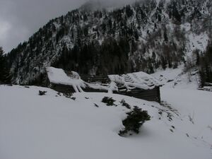 Neualm obertal 47983 2007-02-01.jpg