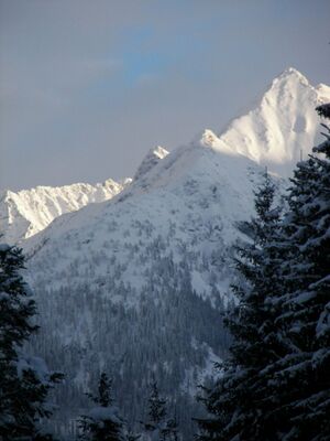 Placken 46520 2006-01-07.jpg