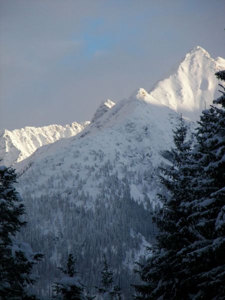 Datei:Placken 46520 2006-01-07.jpg