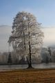 Putterersee - winter 17100 2013-12-23.jpg