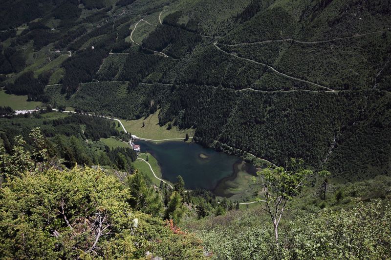 Datei:Steir.bodensee -labeck 49472 2017-06-09.jpg