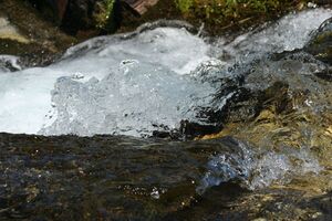 Ursprungbach 16720 2006-07-11.jpg