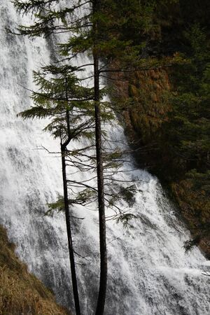 Wasserlochklamm palfau 70547 2018-04-23.jpg
