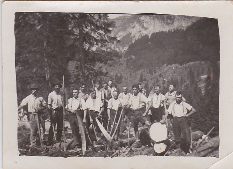 Datei:Almen und Liezen 0015.jpg