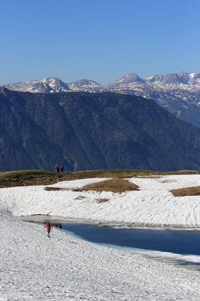 Datei:Augstsee loser 50332 2017-06-11.jpg