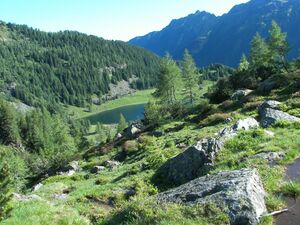 Duisitzkarsee 16016 2006-07-03.jpg