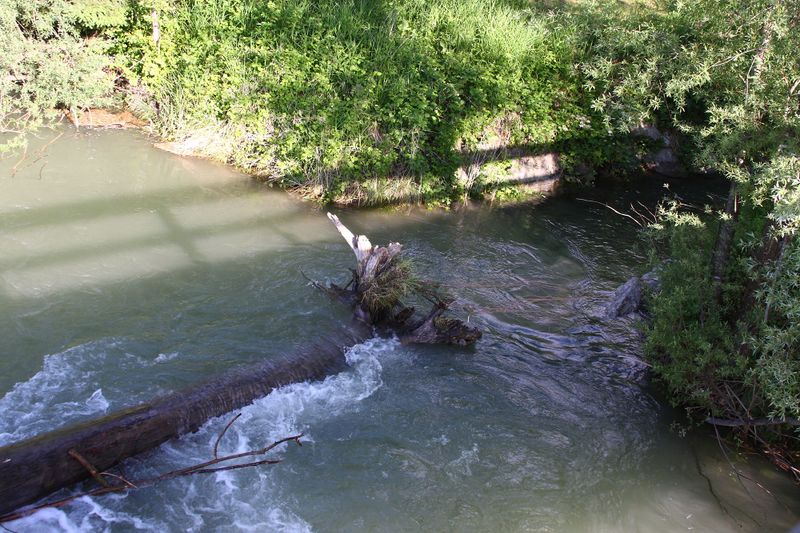 Datei:Ennsbrücke niederstuttern 58743 2014-05-26.jpg