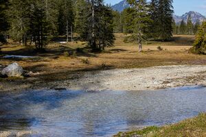Flecklmoos -öderntal 20-05-07 1175.jpg