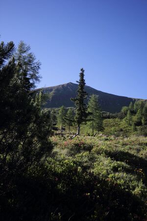 Gumpenkar 53201 2017-07-05.jpg