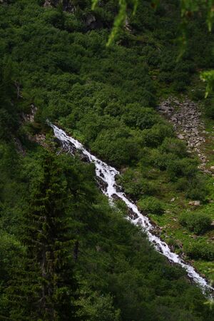 Im wildkar 23561 2008-06-26.jpg