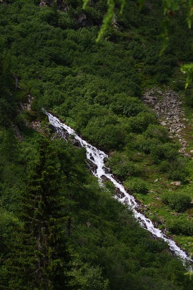 Datei:Im wildkar 23561 2008-06-26.jpg