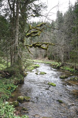 Krunglbach 21033 2016-04-15.jpg