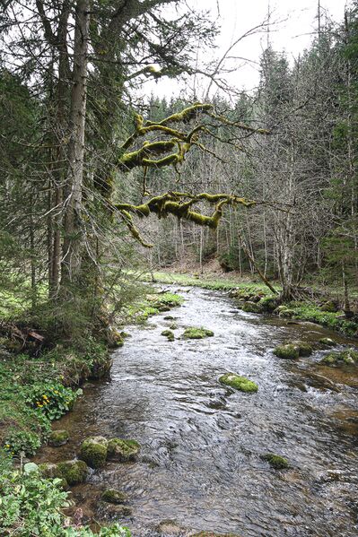 Datei:Krunglbach 21033 2016-04-15.jpg