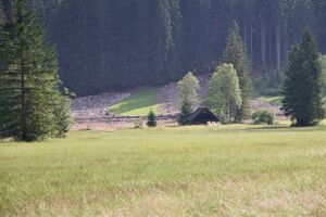 Mure Untertal-020-2026-06-30.jpg