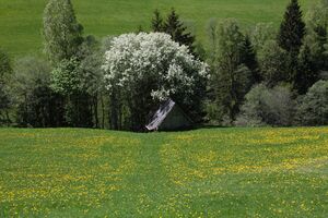 Preuneggtal 28803 2011-05-09.jpg