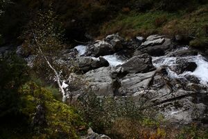 Säusenbach kleinsölk 73583 2014-10-03.jpg