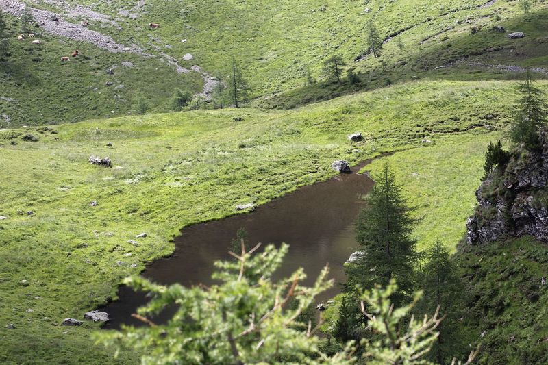 Datei:Südl-see tuchmoarkar 79751 2018-07-04.jpg