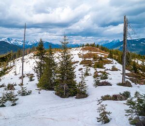 Salberg Blick nach Osten Manuel Capellari.jpg