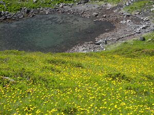 Schattseitn-stegerkar 17710 2006-07-17.jpg