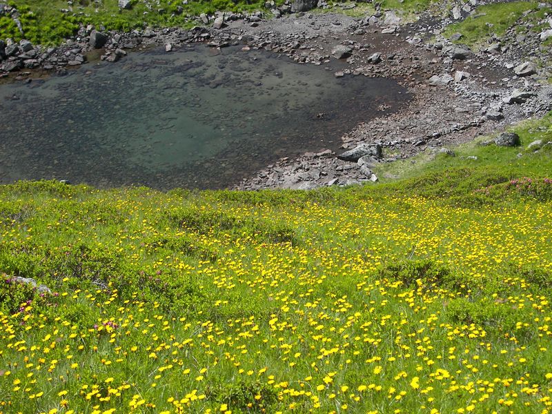 Datei:Schattseitn-stegerkar 17710 2006-07-17.jpg