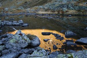 Stegerkarsee 0696 2007-09-24.jpg