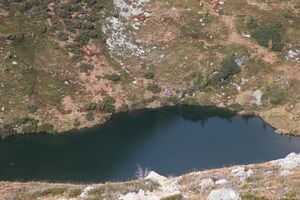 Stierkarsee 0093 2013-10-08.jpg