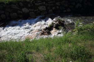 Tobeitschbach 45144 2017-05-18.jpg