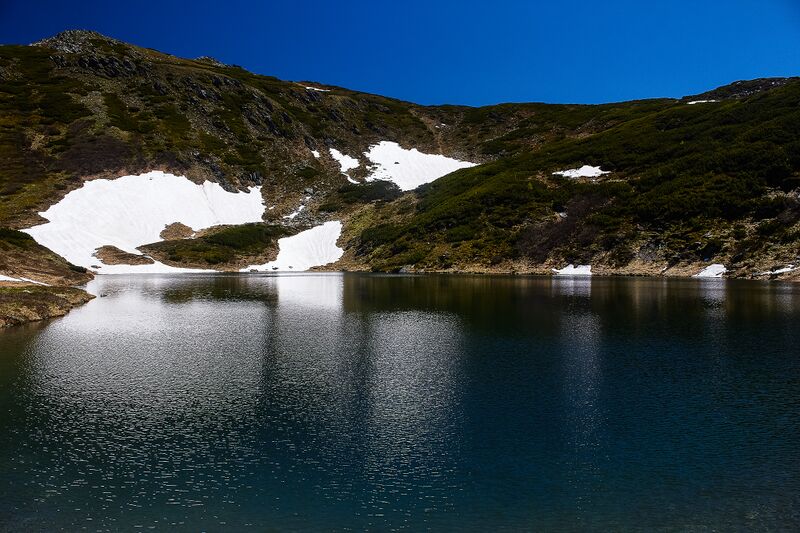 Datei:Untere riednersee-1003-2020-06-12-4.jpg