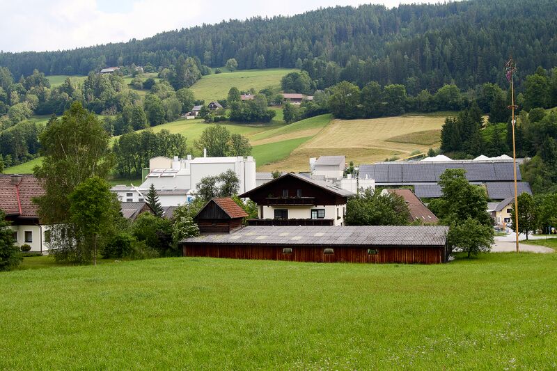 Datei:Vlg kashuber moos 31-1000-2023-06-16.jpg