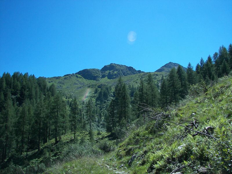 Datei:Wildkar 17561 2006-07-17.jpg