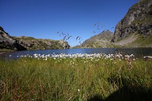 Wildlochsee 35729 2011-08-23.jpg