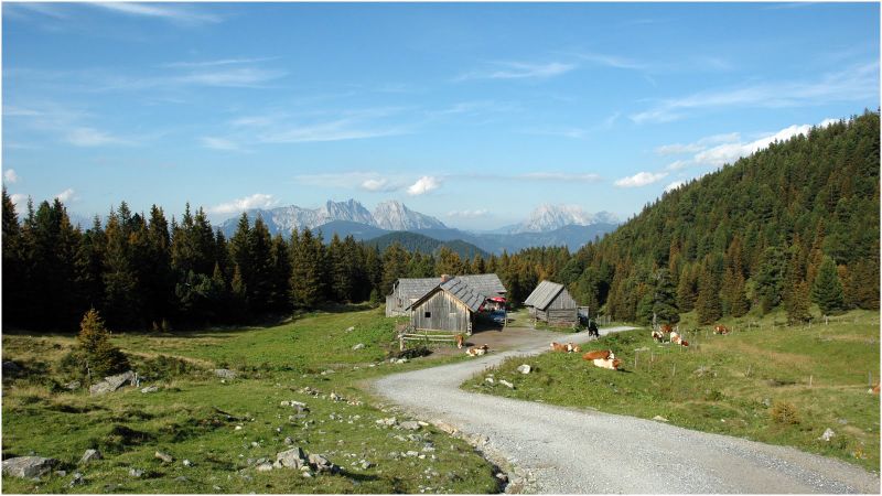 Datei:11 6 Scheibelalm.jpg