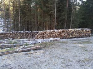 2011-11-20 14.10.10.jpg