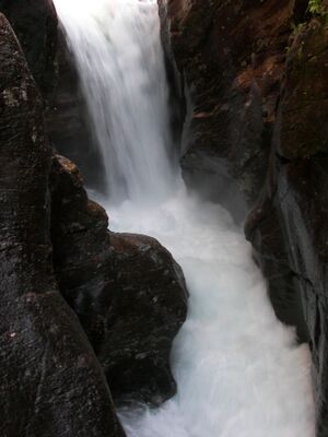 Alpinsteig höll 12645 2006-06-25.jpg