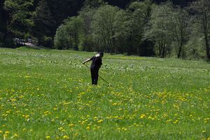 Angereralm-untertal 88743 2015-05-18.jpg