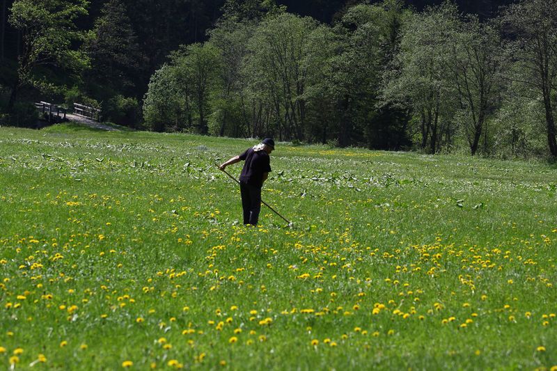 Datei:Angereralm-untertal 88743 2015-05-18.jpg