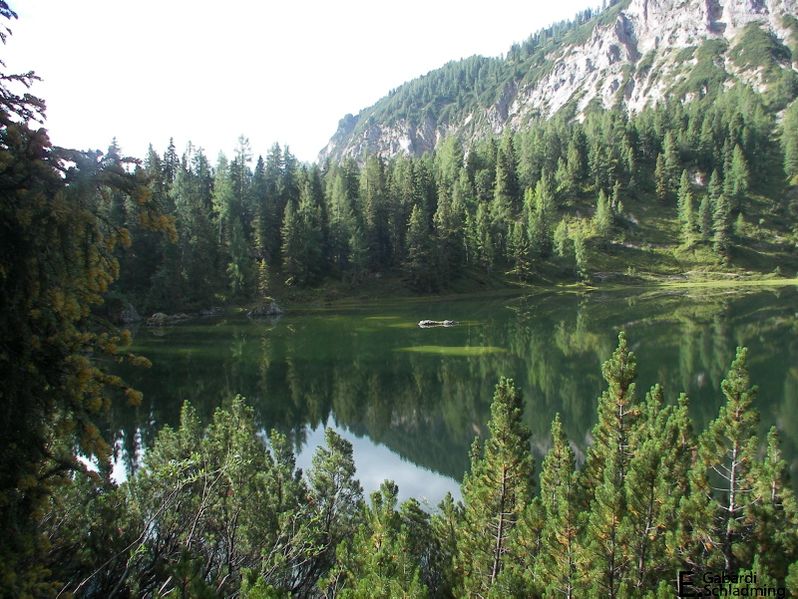 Datei:Grafenbergsee100 6887.jpg