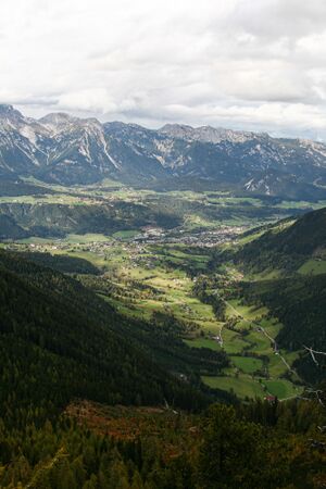 Guschen 20077 2007-09-28.jpg