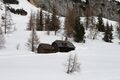 Marburgerhütte -tauplitzalm 67144 2018-03-15.jpg