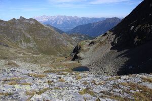 Nördliche krukecklacke 02089 2015-09-13.jpg