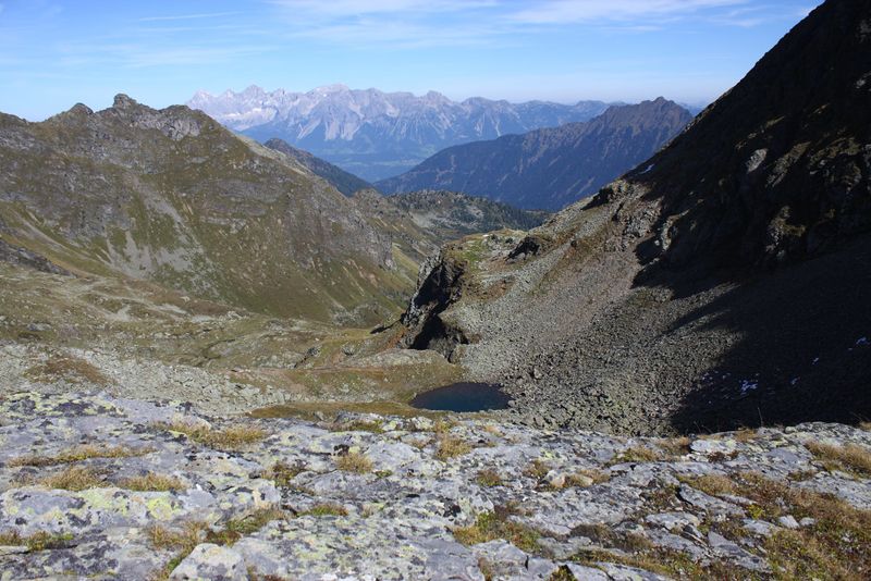 Datei:Nördliche krukecklacke 02089 2015-09-13.jpg