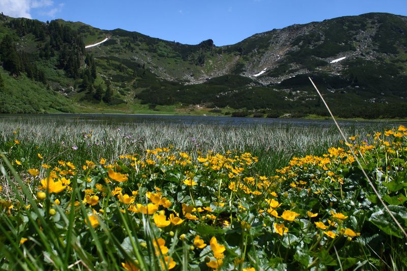 Datei:Plannersee 65283 2014-06-26.jpg