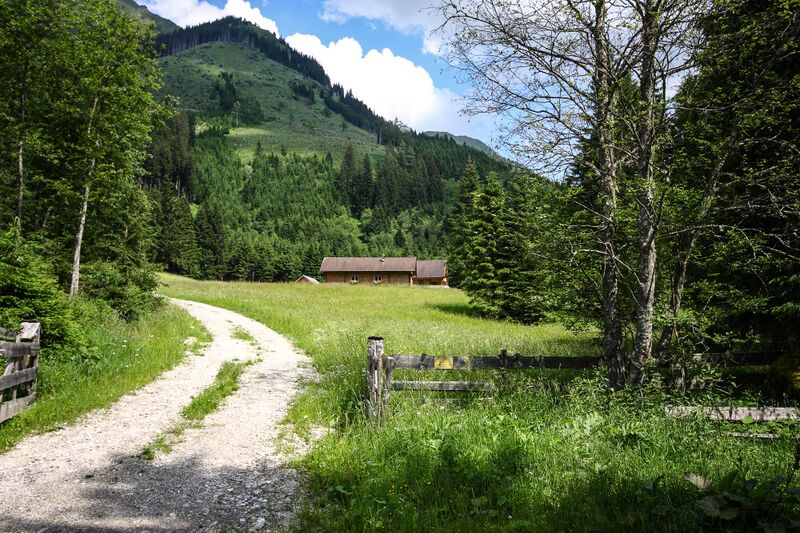 Datei:Riedleralm donnersbach 88933 2013-07-10.jpg