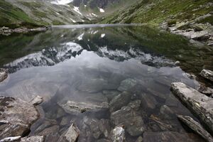 Schimpelsee 977 13-06-27.jpg