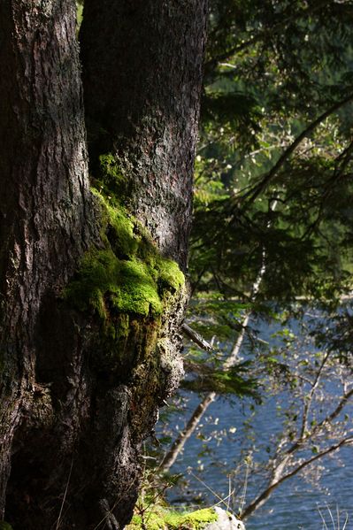 Datei:Schwarzensee kleinsölk 72560 2014-09-17.jpg