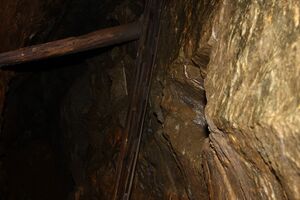 Zinkwandstollen 96001 2015-07-10.jpg