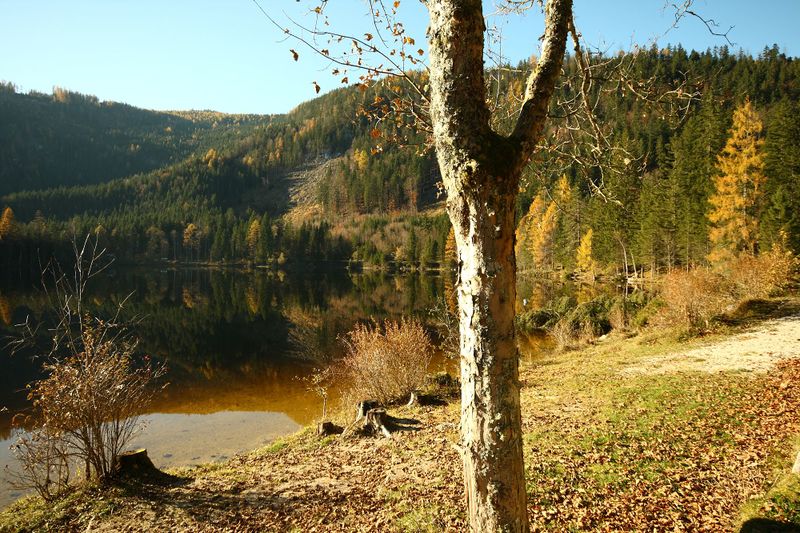 Datei:Ödensee 77922 2014-11-03.jpg