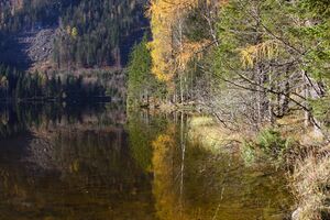 Ödensee 78069 2014-11-03.jpg